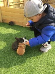 -萌宠亲子动物乐园(槐房万达店)