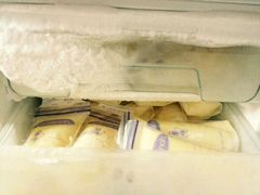 -贝斯特月嫂·育婴护理(北外滩总店)