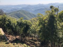 -莫干山风景区