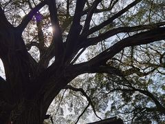 -云水谣景区