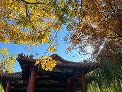 -南翠屏公园
