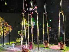 -上海马戏城售票处