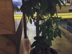 -浅深Cheersum(曹杨店)