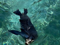 -珠海长隆海洋王国