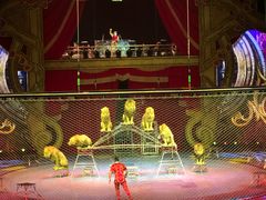 -珠海横琴长隆《卡卡虎奇遇记》