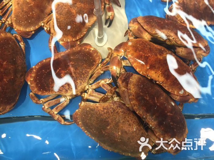 宝燕海货工场(长江国际店)-图片-上海美食-大众点评网