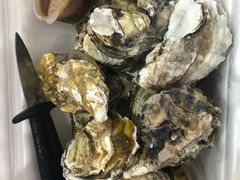 -黑猫馋纸包鱼(阳光店)