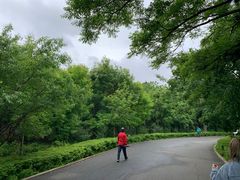 -长春市南湖公园