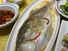 拉菲黄鱼-醉香园(长江北路店)