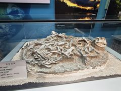 -大同煤炭博物馆