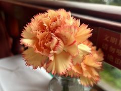 -橘洲1910花园江景西餐厅