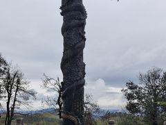 -九华山风景区-东崖禅寺