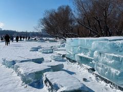 -长春市南湖公园