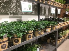 -鹿岛会员店 (龙湖三千集天街店)