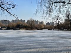 -二一九公园