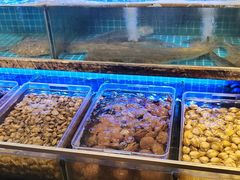 -渔家风味·鲅鱼水饺·央视展播·海鲜天津菜(开发区店)