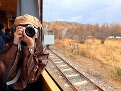 -莫尔道嘎国家森林公园