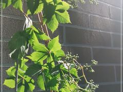 -北京电力医院