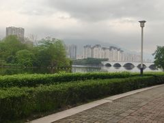 -飞来湖湿地公园