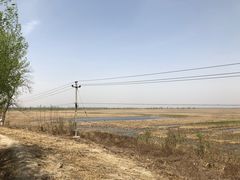 -白洋淀景区