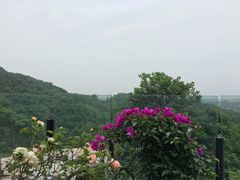 -远山有窑