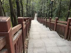 -南国桃园旅游度假区