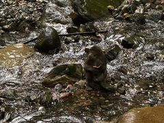 -西岭雪山大飞水景区