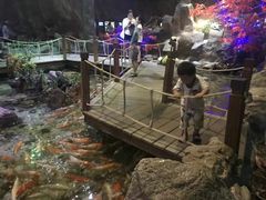 -富国岛珍珠游乐园