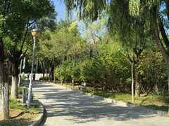 -滨河世纪广场公园