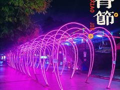 -金砂公园
