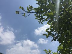 -南通博物苑-崇川人民公园