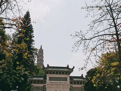 -顺峰山公园