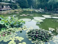 -国家植物园南园