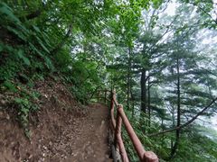 -西安祥峪森林公园