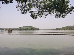 -渤公岛生态公园