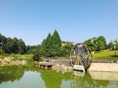 -铁山坪森林公园