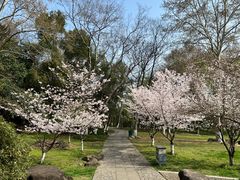 -采石矶景区