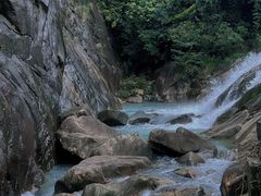 -广州白江湖森林公园