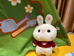 -天目湖御水温泉·度假酒店