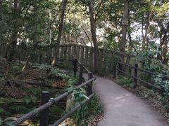 -热田神宫
