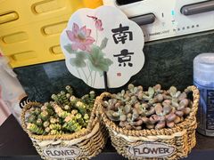 -古都历食南京菜·烤鸭·鸭血粉丝·汤包(南京博物院店)