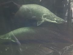 -青青世界