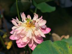 -成都工业学院(郫都校区)