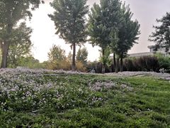大堂-清华大学-紫荆园餐厅