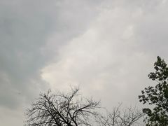 -大邑李记肥肠血旺