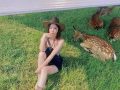 -大塘金香草谷