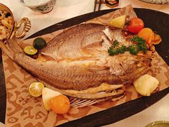 -龟兹KUCINA·新疆菜(前滩L+PLAZA店)