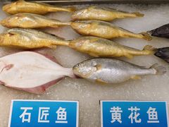 -双井轩(双井店)