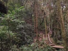 -青城山