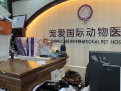 -宠爱国际动物医院·消化内科·心肾内科·ISFM猫友好(望京店)